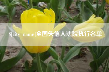 烟台全国失信人法院执行名单