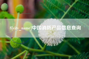 烟台中国消防产品信息查询