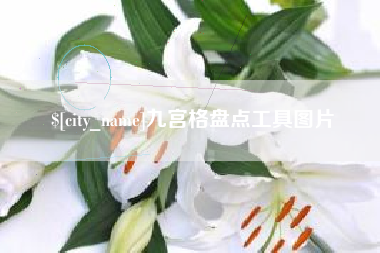 烟台九宫格盘点工具图片