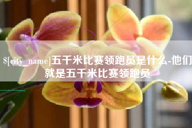 烟台五千米比赛领跑员是什么-他们就是五千米比赛领跑员