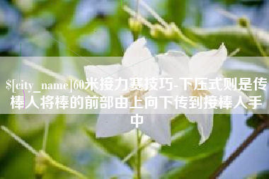 烟台60米接力赛技巧-下压式则是传棒人将棒的前部由上向下传到接棒人手中