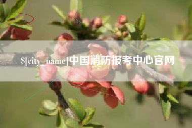 烟台中国消防报考中心官网