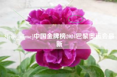 烟台中国金牌榜2024巴黎奥运会最新