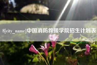 烟台中国消防救援学院招生计划表