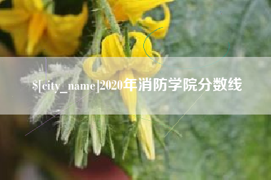 烟台2020年消防学院分数线