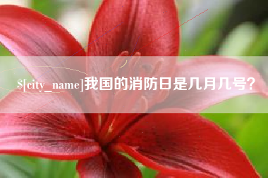 烟台我国的消防日是几月几号？