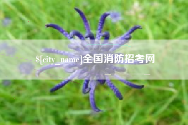 烟台全国消防招考网
