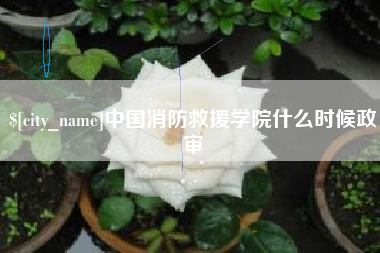 烟台中国消防救援学院什么时候政审