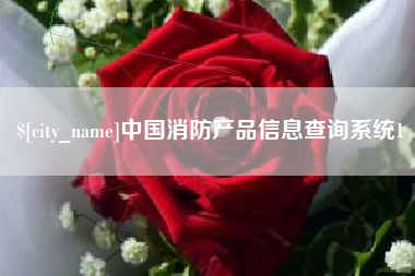 烟台中国消防产品信息查询系统1