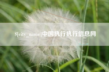 烟台中国执行执行信息网