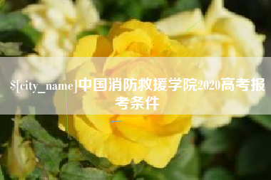 烟台中国消防救援学院2020高考报考条件