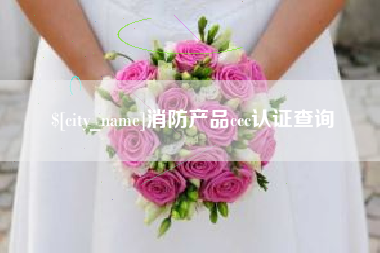 烟台消防产品ccc认证查询