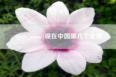 烟台现在中国哪几个金牌