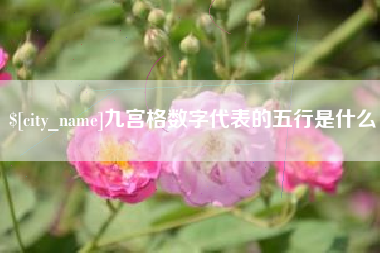 烟台九宫格数字代表的五行是什么