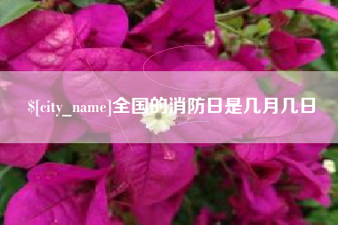 烟台全国的消防日是几月几日