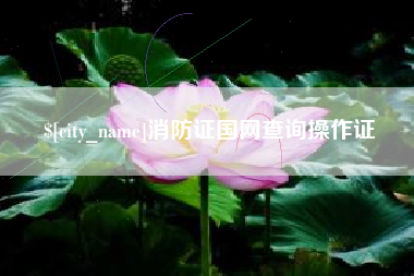 烟台消防证国网查询操作证