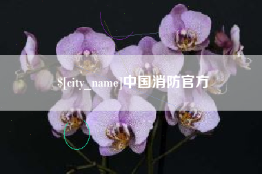 烟台中国消防官方