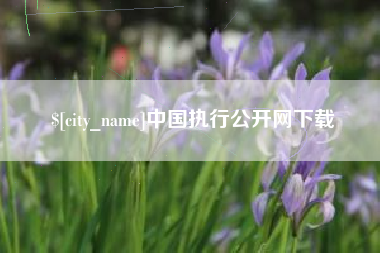 烟台中国执行公开网下载