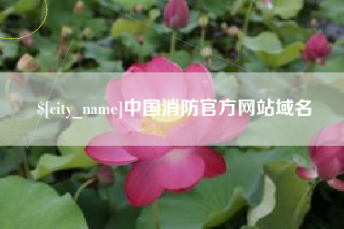 烟台中国消防官方网站域名