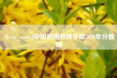烟台中国消防救援学院2020年分数线