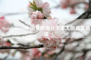 烟台中国金牌图片大全大图真实高清