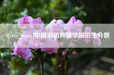 烟台中国消防救援学院招生分数