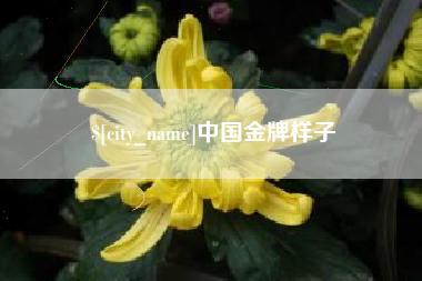 烟台中国金牌样子