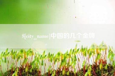 烟台中国的几个金牌
