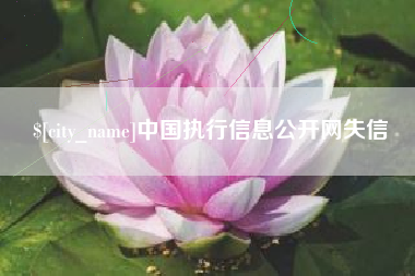 烟台中国执行信息公开网失信