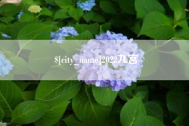 烟台2022九宫