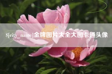 烟台金牌图片大全大图卡通头像