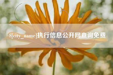 烟台执行信息公开网查询免费