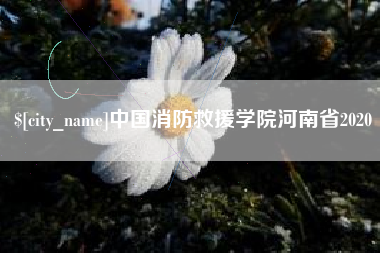 烟台中国消防救援学院河南省2020